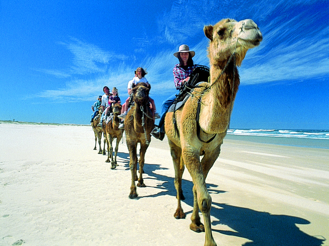 Oakfield Ranch Camel Rides.