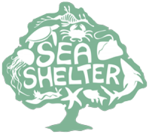 SeaShelter200 white