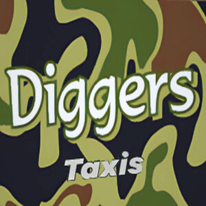 Diggers Nelson Bay Taxi & Hire Cars logo
