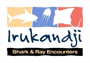 sharkb8l