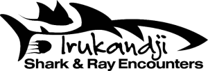 Irukandji Shark & Ray Encounters  logo