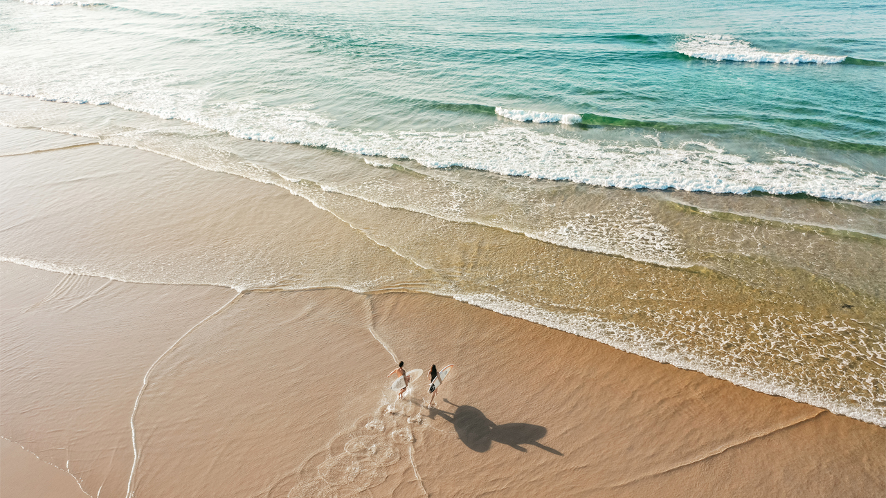 Dive in the coast is clear