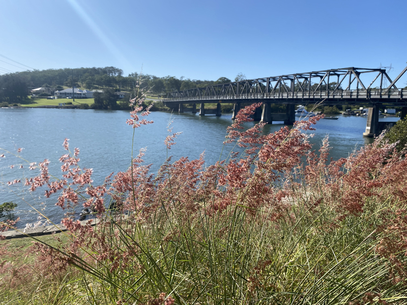 Karuah Bridge image credit: Joel Cottier 