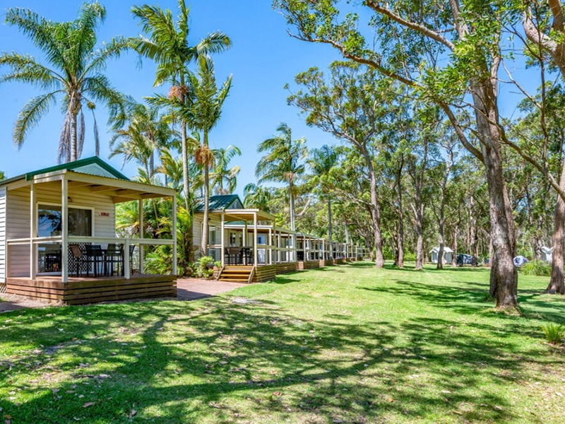 Koala Shores, Lemon Tree Passage