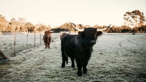 wildlife encounters port stephens 6
