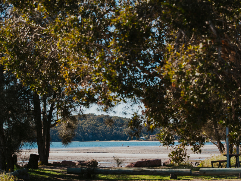 Tanilba Bay Walk