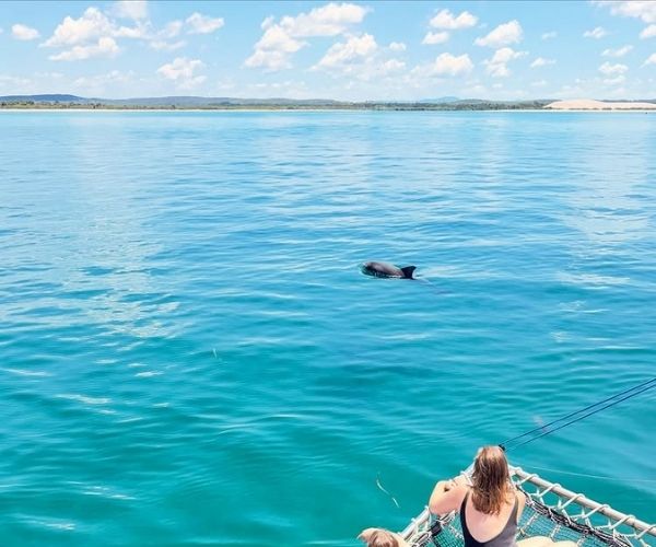 port stephens long weekend 5