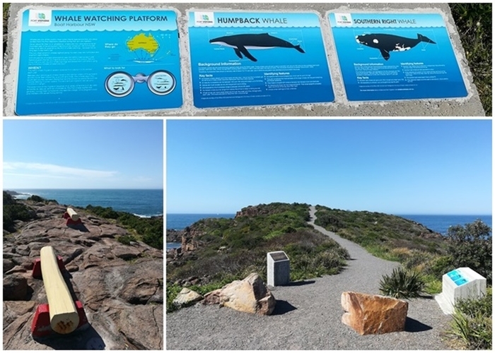 whale watching lookouts nelson bay port stephens n1