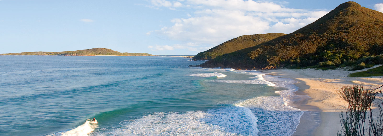 port stephens accommodation - book accommodation, tours