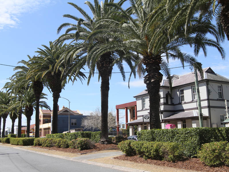 Port Stephens Street, Raymond Terrace