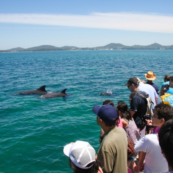 4 Moonshadow TQC Cruises Dolphin Watch Cruise Photos low res trade website