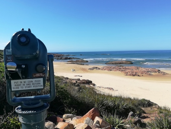 anna bay birubi beach whale watching crest cafe th