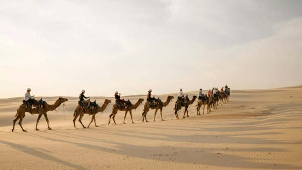 Camel Riding