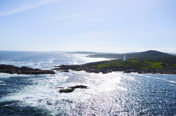 fingal island port stephens