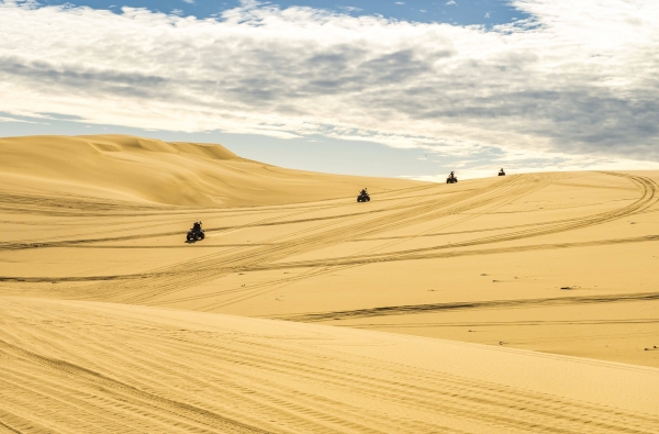 sand dune adventures port stephens
