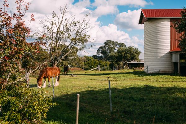 port stephens hinterland 4