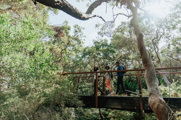 port stephens nature experiences 3