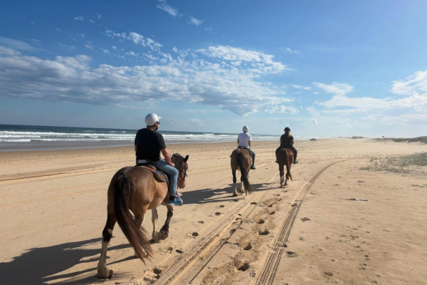 wellness activities port stephens 5